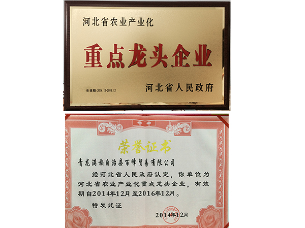 河北省重点龙头企业证书2014-2016