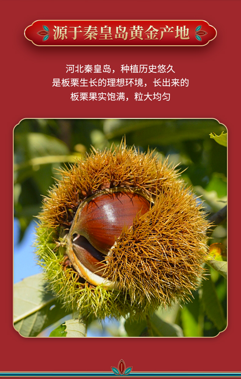 栗子礼盒--详情_03